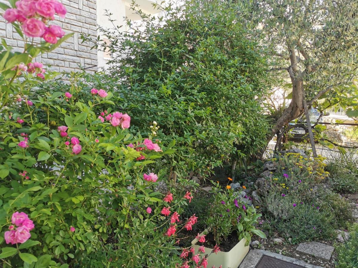 Lavender Rose Apartment *